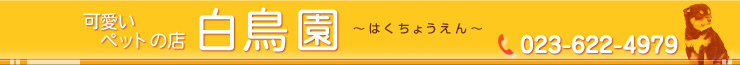 可愛いペットの店 白鳥園 TEL 023-622-4979