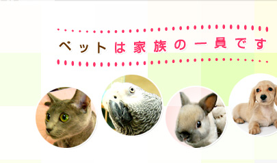 ペットは家族の一員です