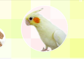 ペットは家族の一員です。